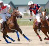 The professional approach for selecting sports photography gear