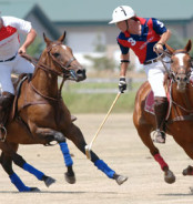 The professional approach for selecting sports photography gear