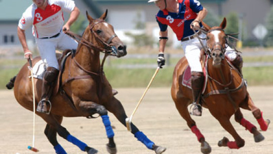 The professional approach for selecting sports photography gear