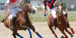 The professional approach for selecting sports photography gear