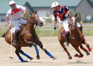 The professional approach for selecting sports photography gear